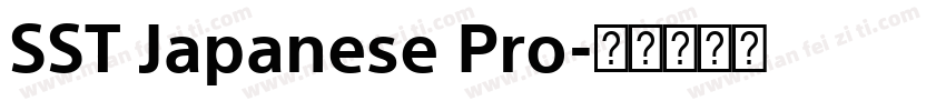 SST Japanese Pro字体转换